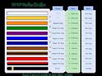 12 Taekwondo Belt Order to Master Your Craft