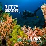 A Deep Dive into Love, Support, and Personal Growth