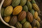 A Journey of Flavor and Community