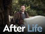 After Life Season 3 Ending Explained: Ricky Gervais Confirms Theory