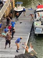 Alabama Boat Fight: Poolside Parody of Riverfront Brawl Goes Viral as Internet Finds It Funny and Up