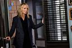 Amanda Rollins' Departure from Svu in 2022: Reasons Unveiled