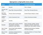 Amino Acid: Understanding Hydrophobic and Hydrophilic Properties