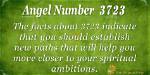 Angel Number 3723 Meaning: Boosting Your Commitment