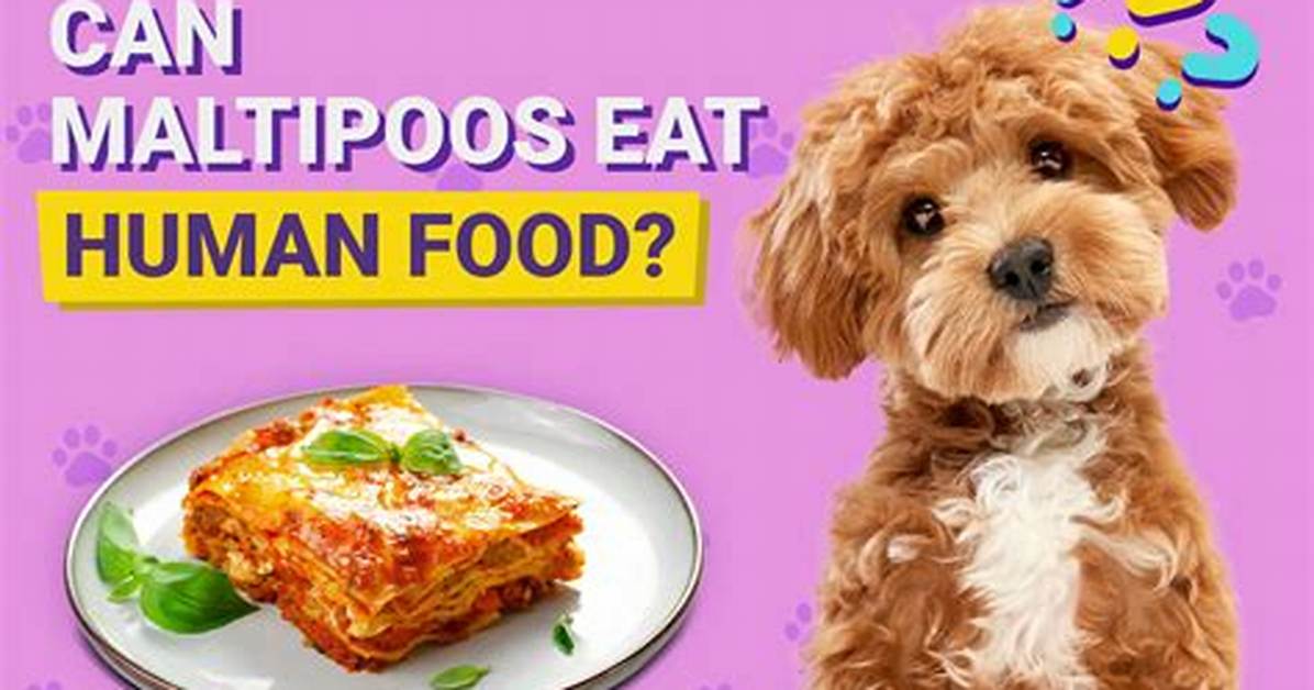 Can Werewolves Eat Human Food? Celebrity. Fm #1 Official Stars, Business & People Network, Wi ·