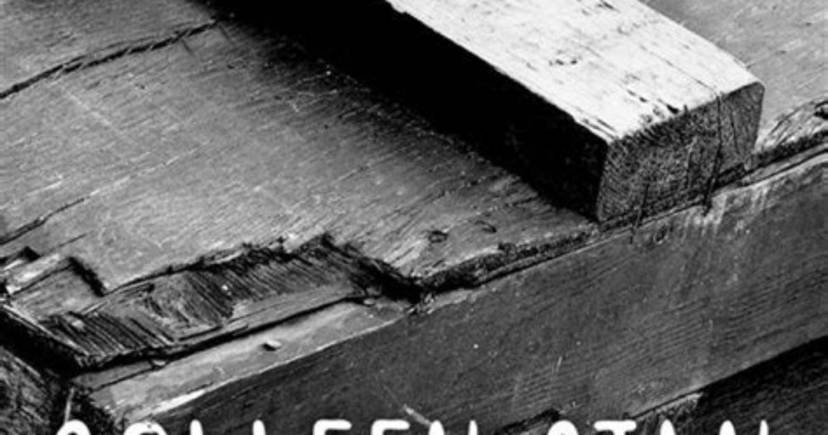Colleen Stan: the Remarkable Story of the Girl in the Box