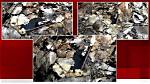 Delphi Murders Leaked Video Crime Scene Photos Twitter, Reddit the Talks Today