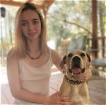 "Denise Frazier Dog Video Leak" Uncovered