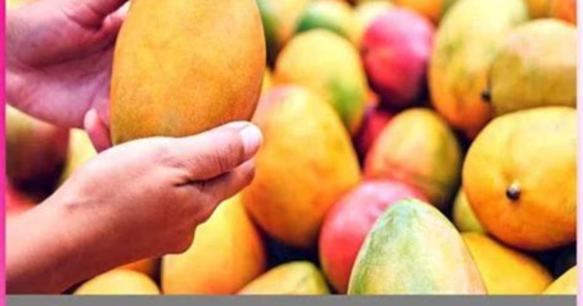 Discovering the Caloric Delight of Mangoes