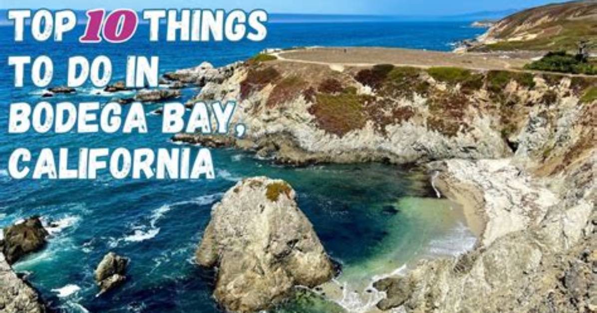 Explore the Hidden Gems of Bodega Park: a Journey of Discovery