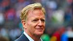 Exploring the Lives of Roger Goodell's Children