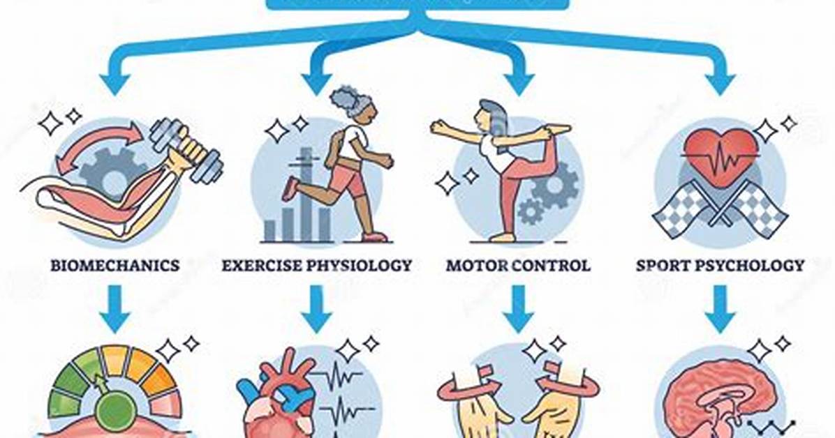 Exploring the Relationship Between Kinesiology and Stem Majors