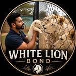 Exploring the World of Mkvmoviespoint Bond: a Cinematic Journey