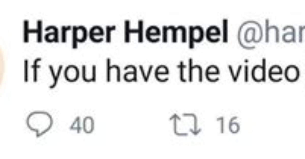 Harper Hempel Giving Head: Exploring the Controversy
