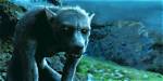 How Did Lupin Become a Werewolf? Celebrity. Fm #1 Official Stars, Business & People Network, |