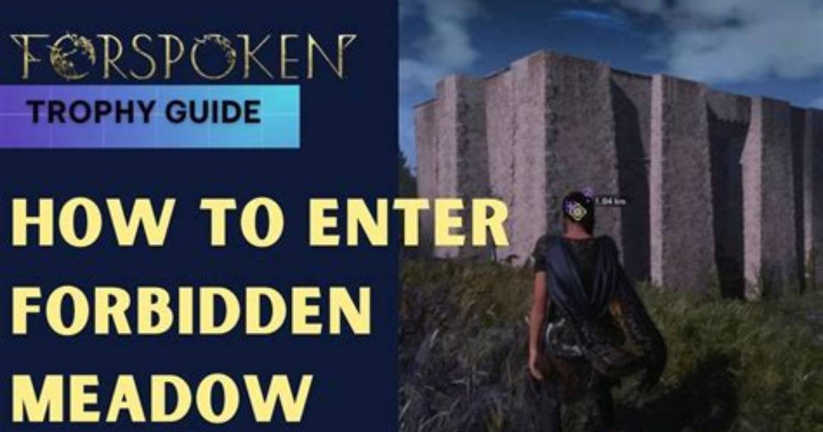 How to Enter the Forbidden Meadow in Forspoken