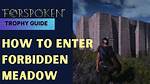 How to Enter the Forbidden Meadow in Forspoken