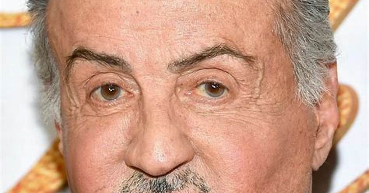 Is Sylvester Stallone in a Wheelchair? Unraveling the Truth