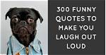 Laugh out Loud: the Best Very Funny Usernames for Every Occasion