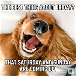 Laugh Your Way into the Weekend with Friday Jokes