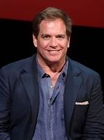 Michael Weatherly Net Worth