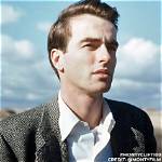 Montgomery Clift: a Glimpse into the Life of a Hollywood Icon