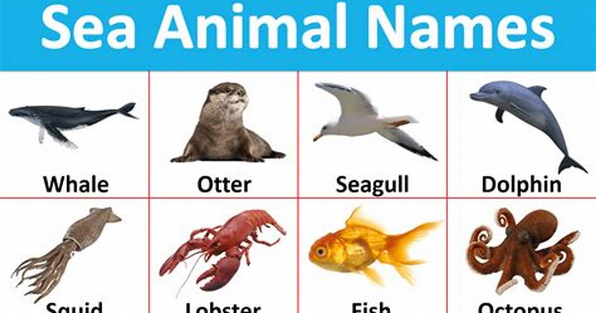 Name Something You Find in a Fish Tank Text or Die Answers ·
