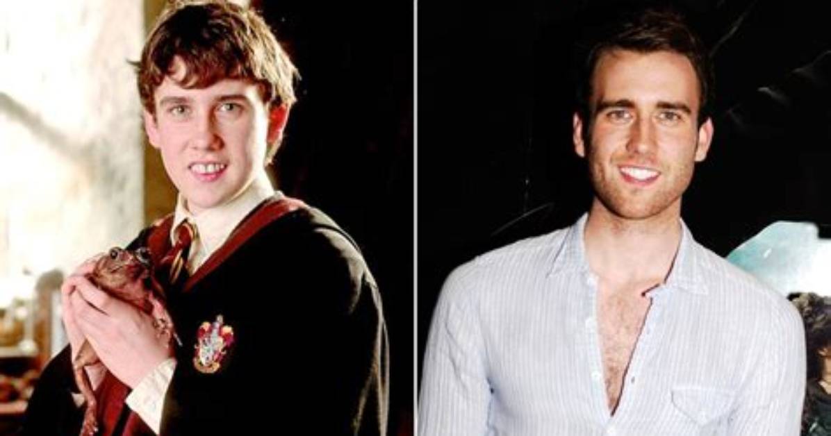 Neville Longbottom Now: the Journey of Growth and Transformation
