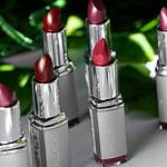 Palladio Lipstick: the Perfect Fusion of Beauty and Care