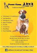 Pioneering Veterinary Care at Pioneer Animal Clinic