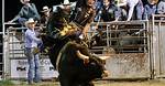 Rising Star of Bull Riding