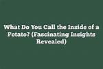 Secrets and Fascinating Insights Revealed!