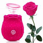 The Fascinating World of the Rose Toy Meme