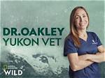 The Inside Scoop: Dr. Oakley Yukon Vet Faces Divorce
