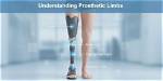 The Ultimate Guide to Understanding "Limb by Limb" Meaning: a Comprehensive Explanation