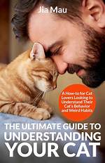 The Ultimate Guide to Understanding Noah Lee Ritter