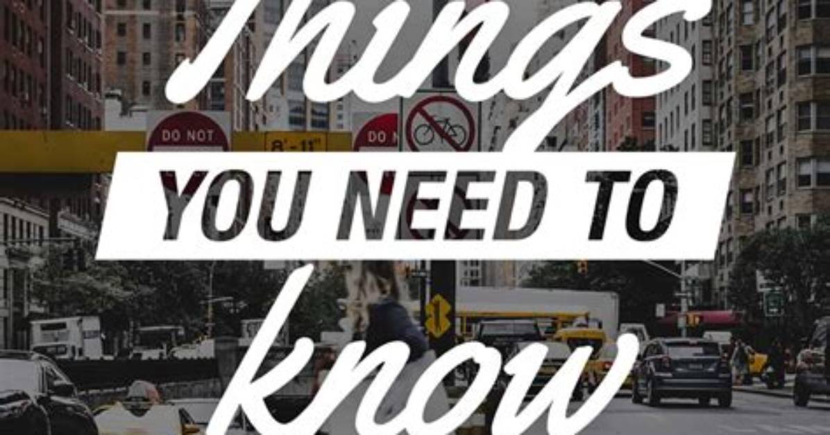 Things You Need to Know About Donna Dicarlo Delvecchio