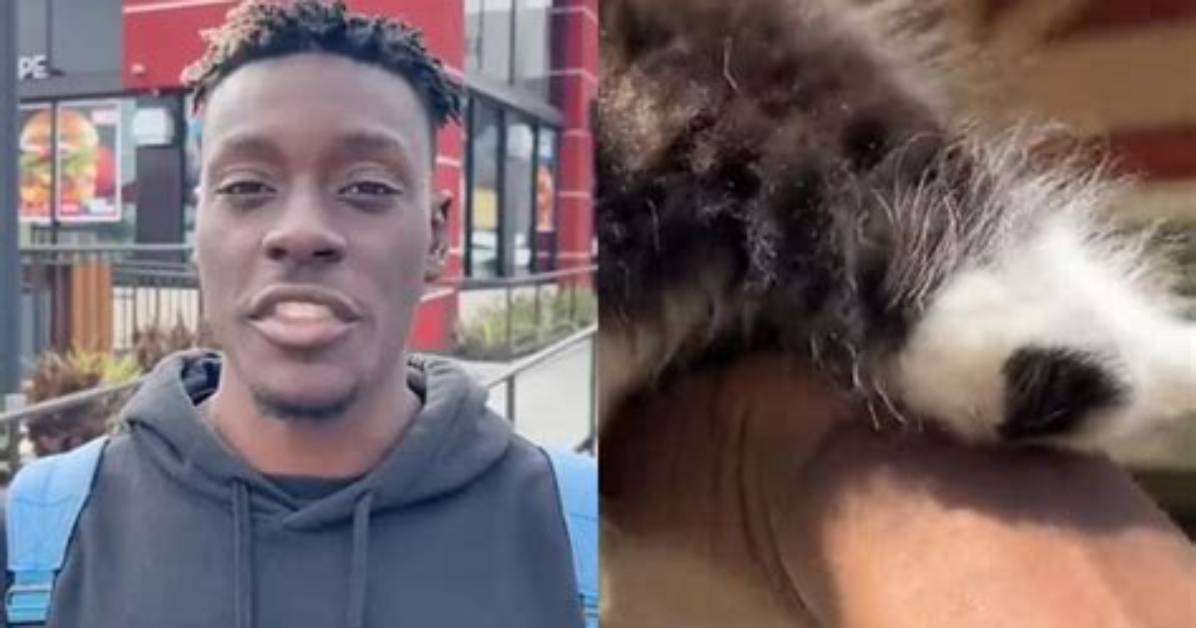 Trevon Sellers: the Intriguing Journey of a Rabbit Enthusiast