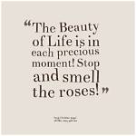 Uncover the Essence of Life with Inspiring "Smelling the Roses" Quotes