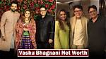 Uncover the Wealth of Vashu Bhagnani: Exploring His Net Worth