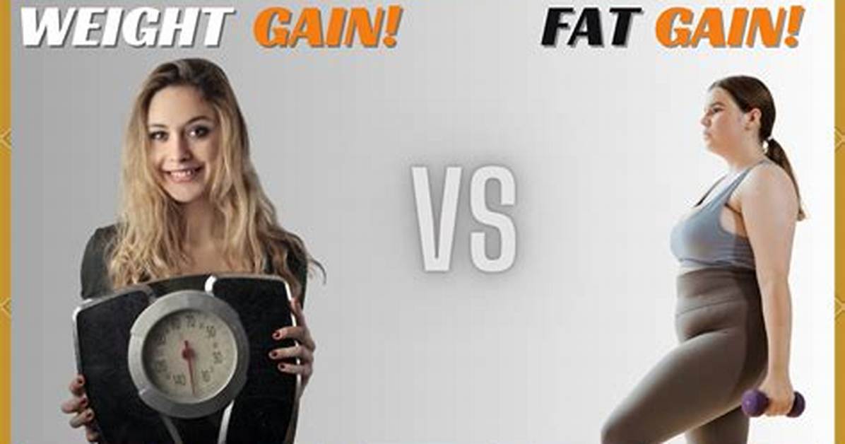 Understanding Bbw Weight Gain Fat: Embracing Curves and Confidence