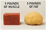 Understanding the Visual Representation of 5 Pounds of Fat