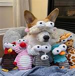 Unleashing Fun: the Dog Hands in Challenge