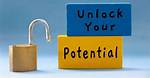Unlocking the Potential of Plugin2.6: a Comprehensive Guide