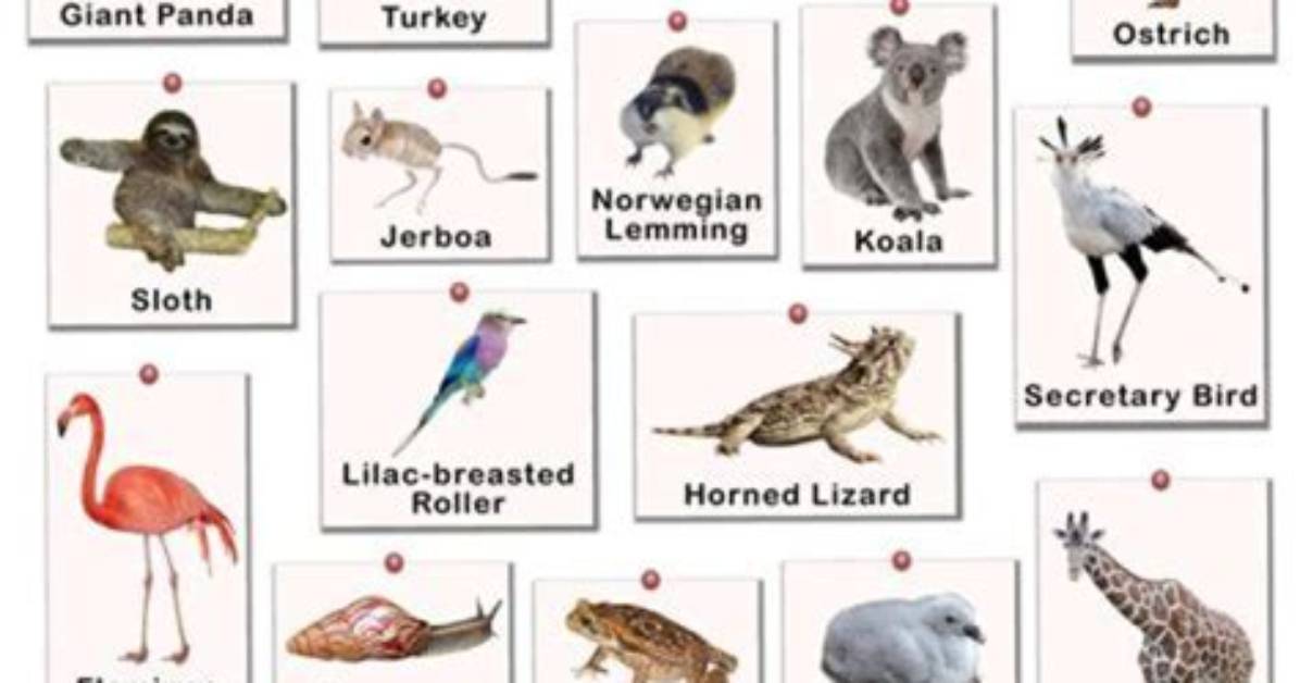 Unraveling the Intelligence of the So-Called "Dumbest" Animals