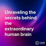 Unraveling the Mystery Behind the Lara. Lane Leak