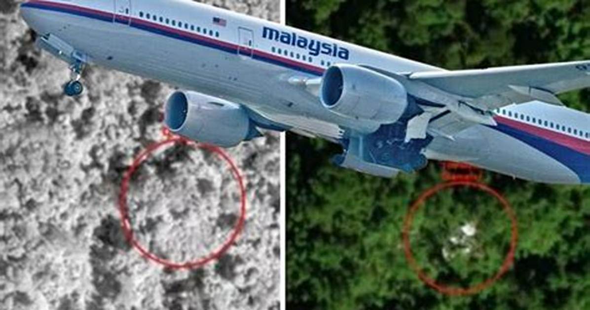 Unraveling the Mystery: Mh370 Found in Jungle