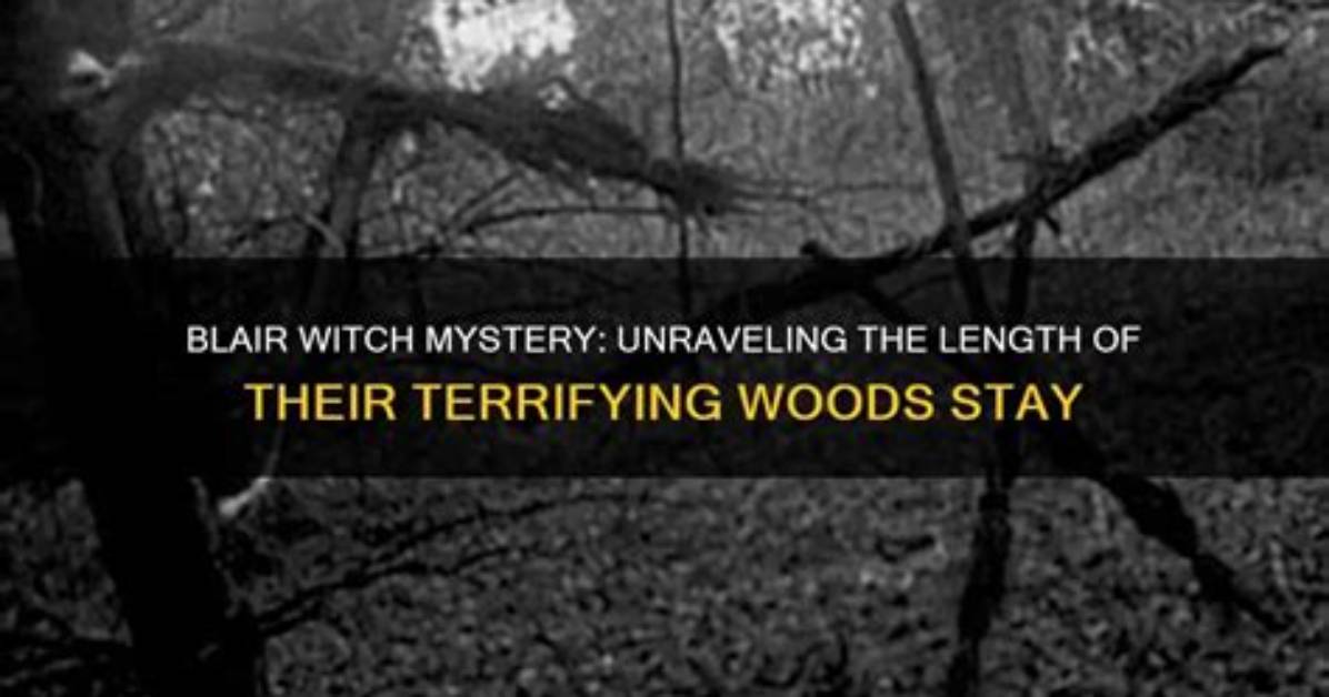 Unraveling the Mystery of Laura Blair Age