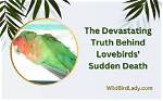 Unraveling the Truth Behind "Yellow Birds": Discoveries and Insights