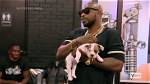 Unveiling Ceaser Black Ink Crew Dog: Insights and Discoveries